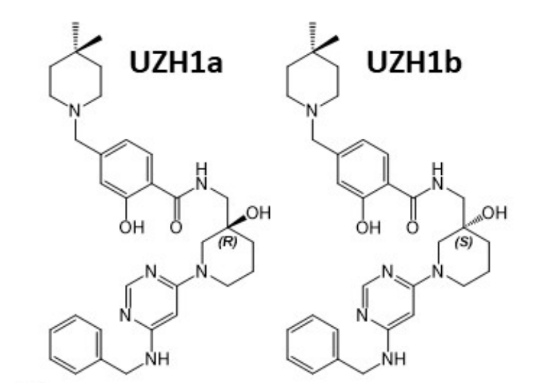 研究人员报告了一种具有细胞渗透性的选择性METTL3纳摩尔抑制剂UZH1a，作者感谢欧宝体育app
合成了UZH1a和UZH1b