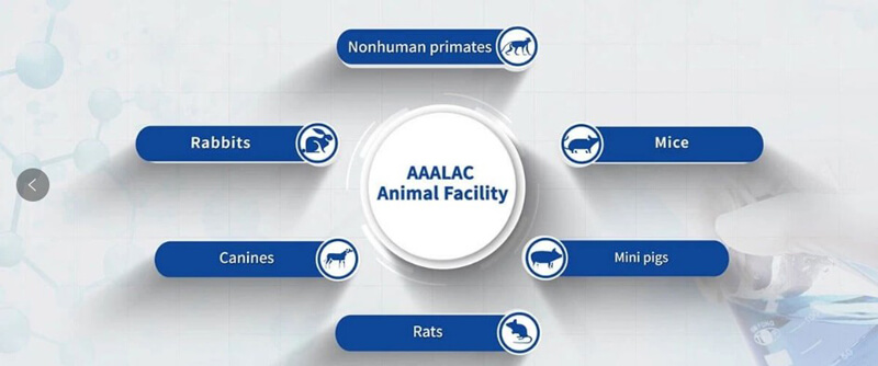 欧宝体育app
临床前研究实验室通过国际实验动物评估和认可（AAALAC）.jpg