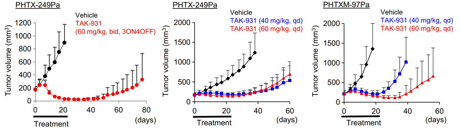 TAK-931是一种高效的CDC7抑制剂，通过抑制CDC7来抑制DNA复制，具有抗肿瘤功效，体内药效研究通过欧宝体育app
进行
