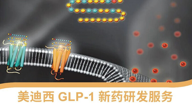 “GLP-1”新药研发欧宝体育app
平台